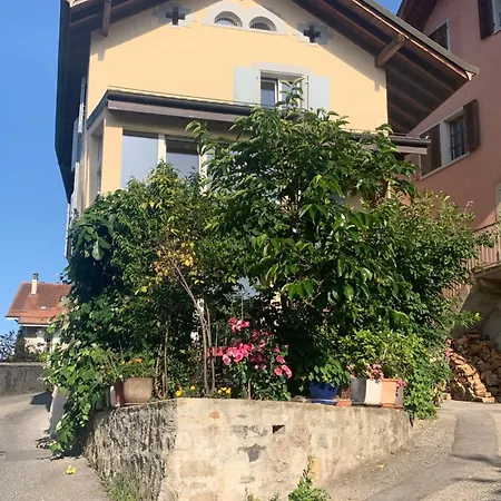 Tournicolette - 52 M2 Charme Fou Apartment Chardonne Exterior photo